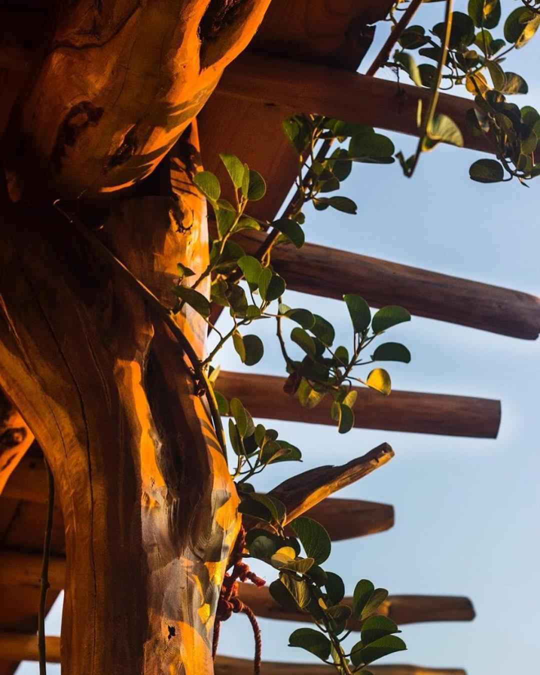 Hotel El Risco Cuatunalco Εξωτερικό φωτογραφία